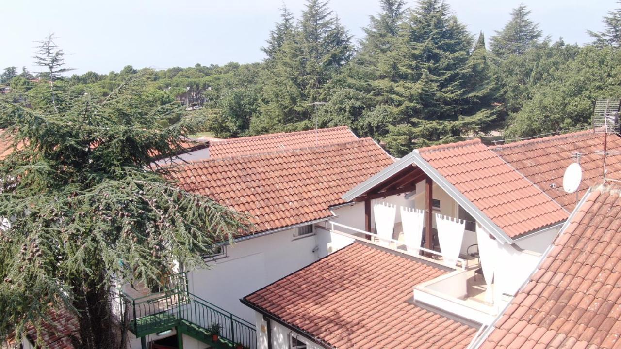 Katoro Apartman *